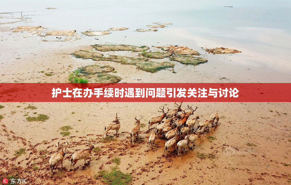 护士在办手续时遇到问题引发关注与讨论