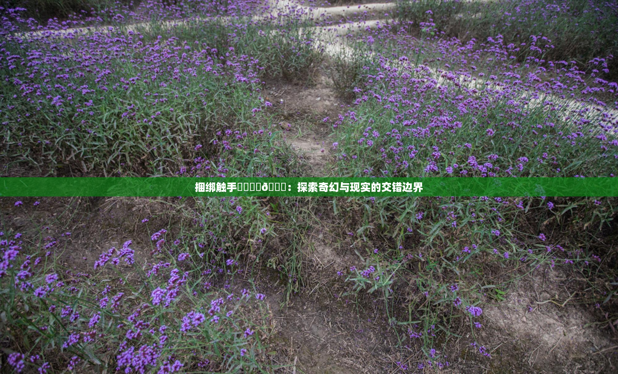 捆绑触手❌‌❌‌🔞：探索奇幻与现实的交错边界
