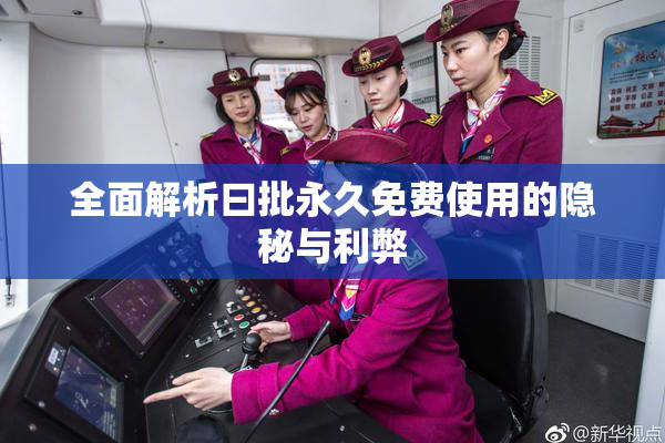 全面解析曰批永久免费使用的隐秘与利弊