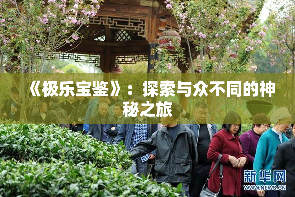 《极乐宝鉴》：探索与众不同的神秘之旅