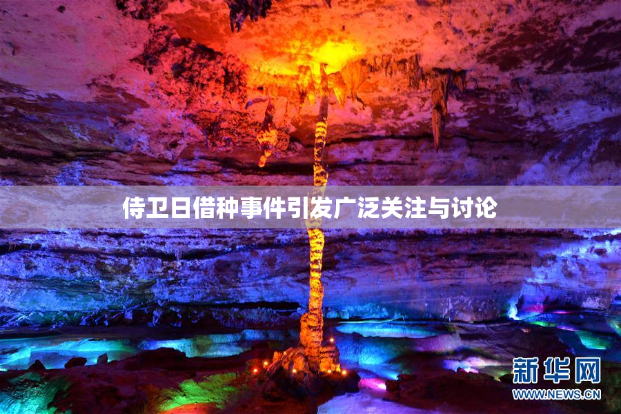 侍卫日借种事件引发广泛关注与讨论