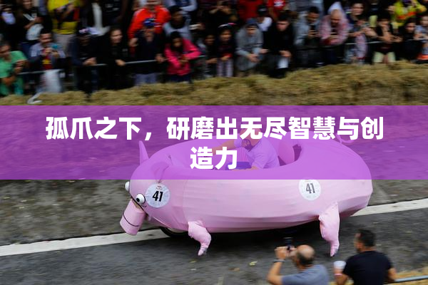 孤爪之下，研磨出无尽智慧与创造力