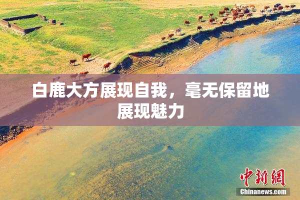 白鹿大方展现自我，毫无保留地展现魅力