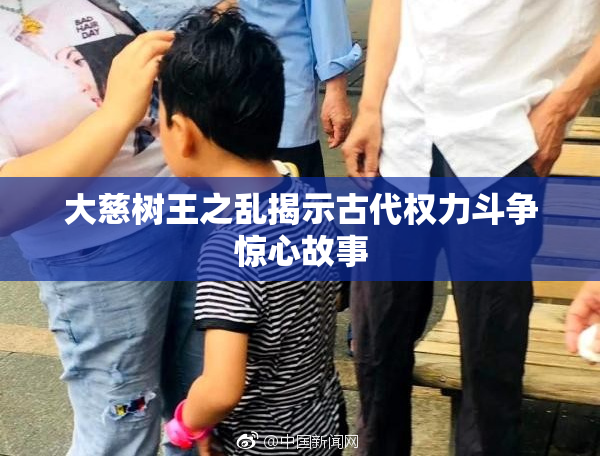 大慈树王之乱揭示古代权力斗争惊心故事