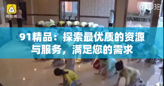 91精品：探索最优质的资源与服务，满足您的需求