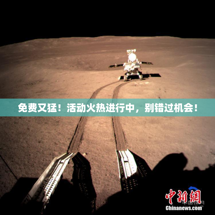 免费又猛！活动火热进行中，别错过机会！