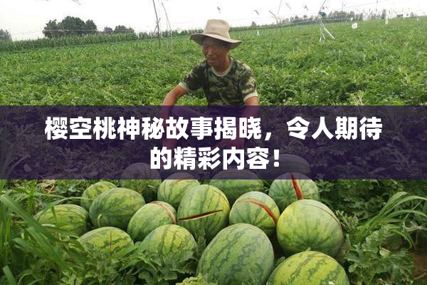 樱空桃神秘故事揭晓，令人期待的精彩内容！