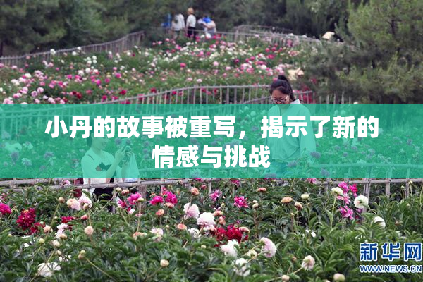 小丹的故事被重写，揭示了新的情感与挑战