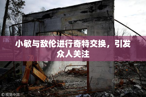 小敏与敌伦进行奇特交换，引发众人关注