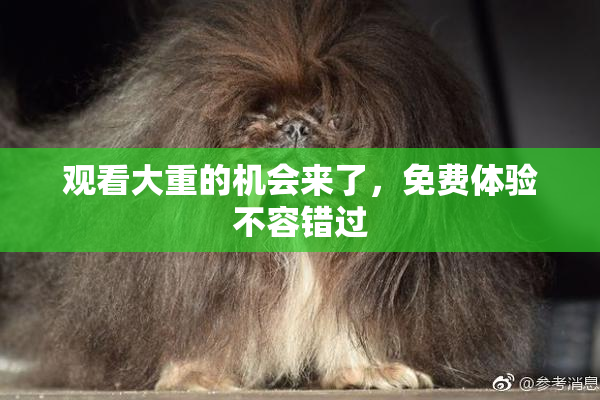 观看大重的机会来了，免费体验不容错过