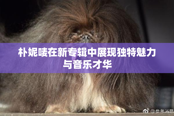 朴妮唛在新专辑中展现独特魅力与音乐才华