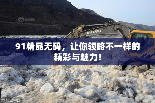 91精品无码，让你领略不一样的精彩与魅力！