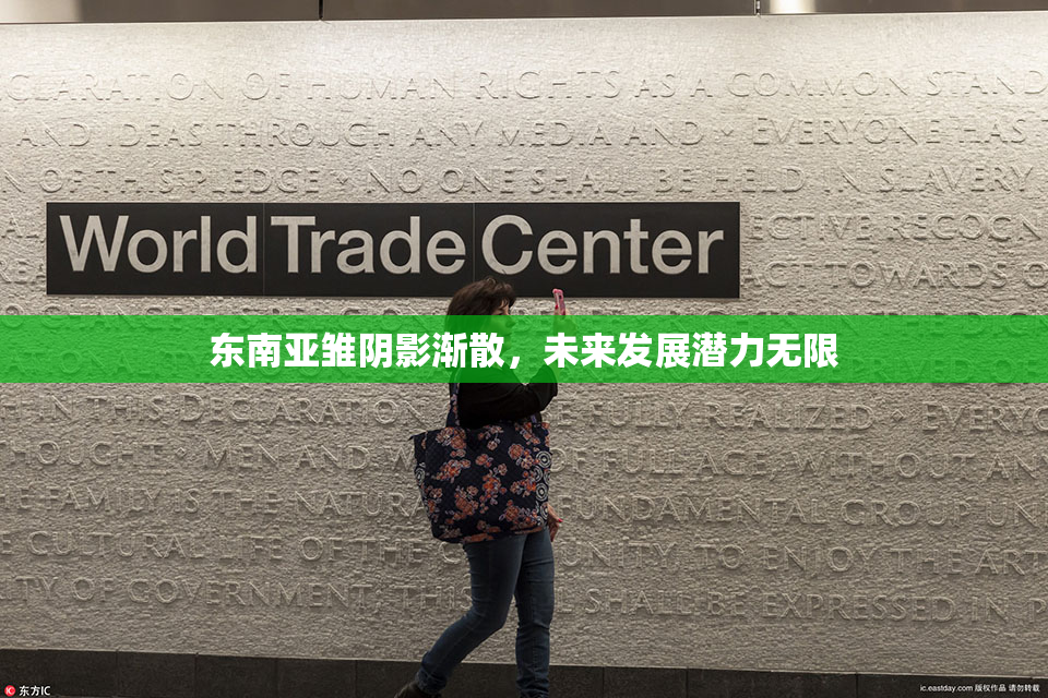 东南亚雏阴影渐散，未来发展潜力无限