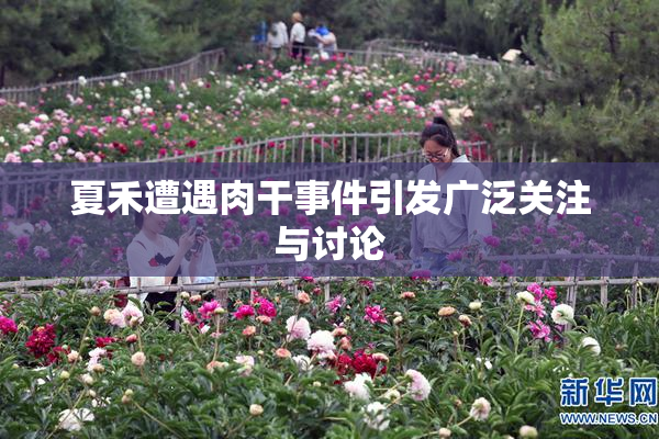 夏禾遭遇肉干事件引发广泛关注与讨论