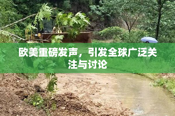 欧美重磅发声，引发全球广泛关注与讨论