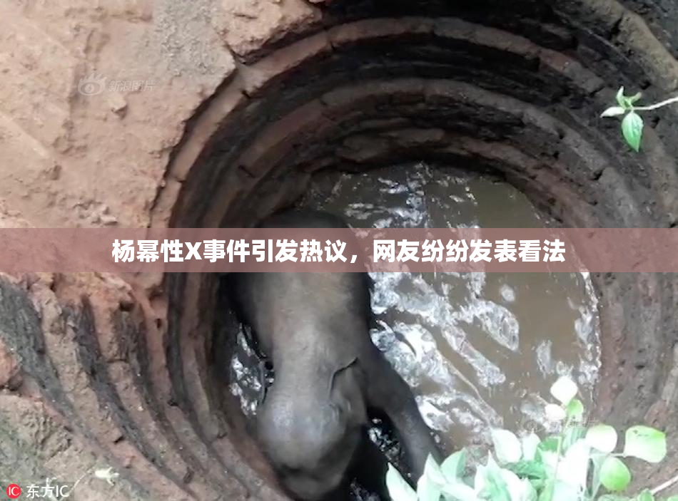 杨幂性X事件引发热议，网友纷纷发表看法