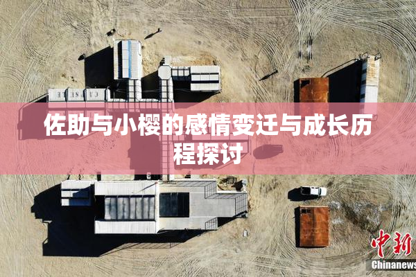 佐助与小樱的感情变迁与成长历程探讨