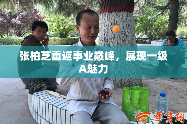 张柏芝重返事业巅峰，展现一级A魅力