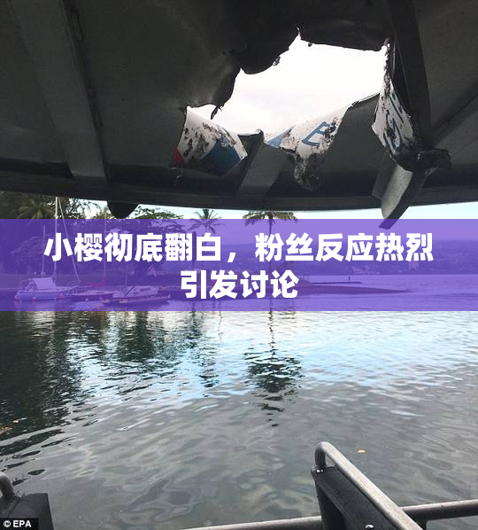 小樱彻底翻白，粉丝反应热烈引发讨论