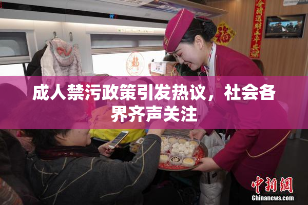 成人禁污政策引发热议，社会各界齐声关注