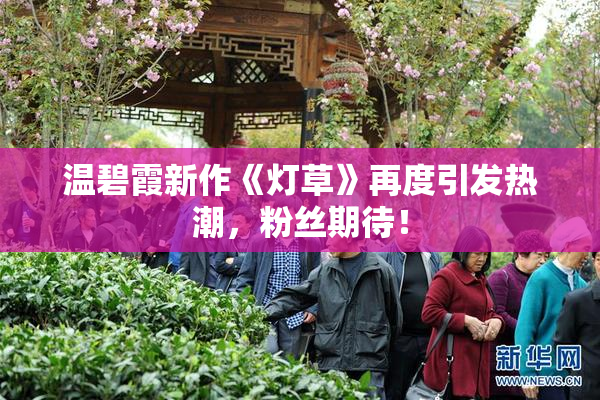 温碧霞新作《灯草》再度引发热潮，粉丝期待！