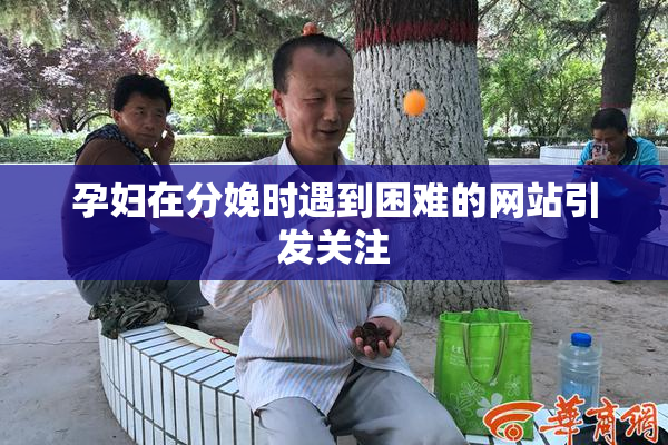 孕妇在分娩时遇到困难的网站引发关注