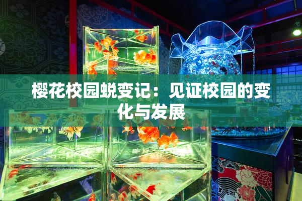 樱花校园蜕变记：见证校园的变化与发展