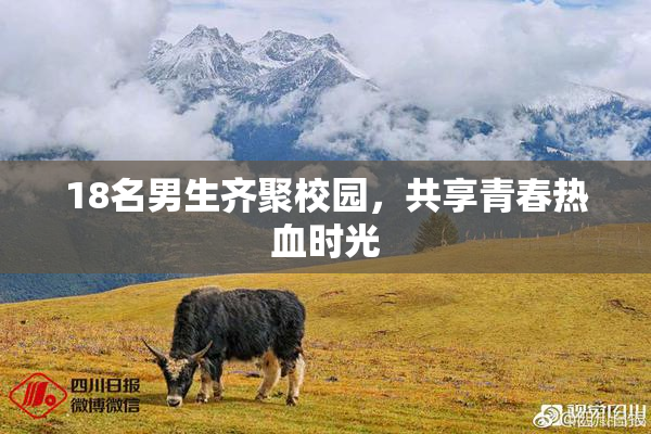 18名男生齐聚校园，共享青春热血时光