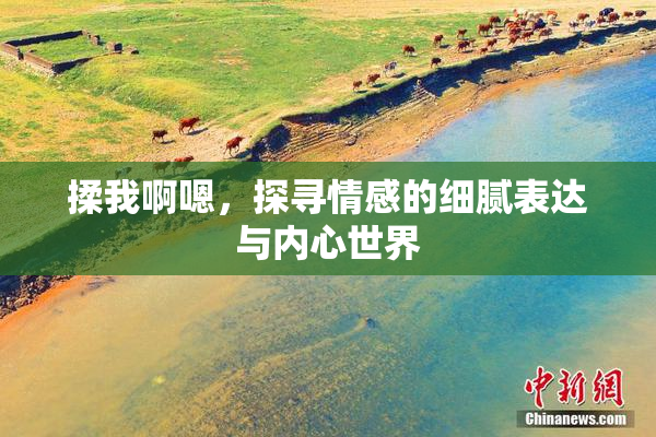 揉我啊嗯，探寻情感的细腻表达与内心世界
