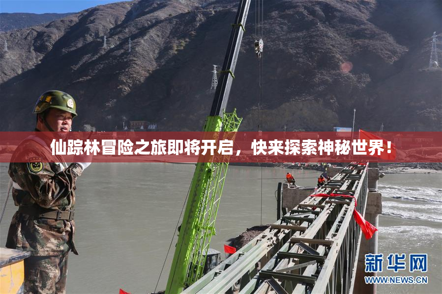 仙踪林冒险之旅即将开启，快来探索神秘世界！
