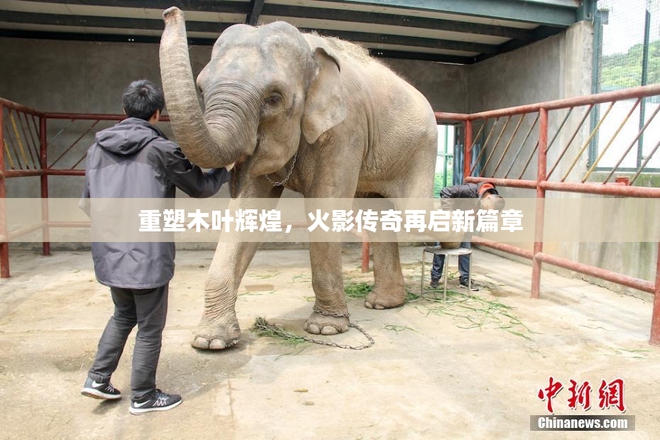 重塑木叶辉煌，火影传奇再启新篇章