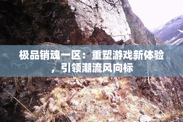 极品销魂一区：重塑游戏新体验，引领潮流风向标