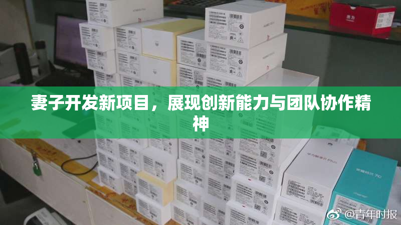 妻子开发新项目，展现创新能力与团队协作精神