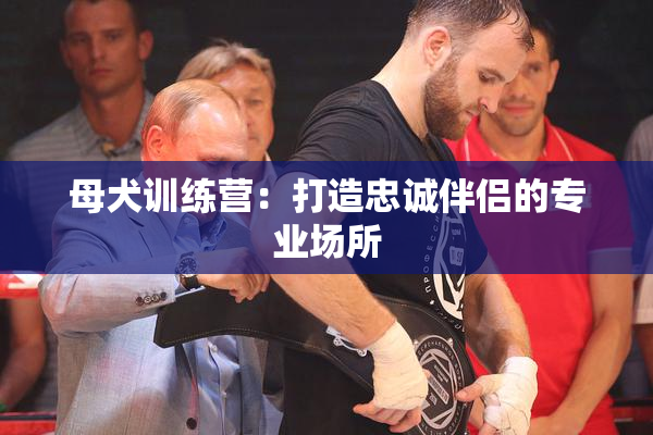 母犬训练营：打造忠诚伴侣的专业场所