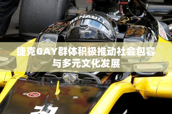 捷克GAY群体积极推动社会包容与多元文化发展