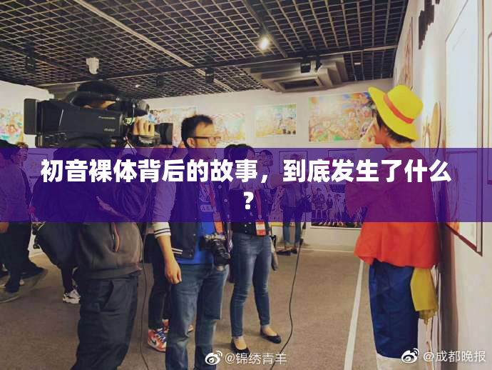 初音裸体背后的故事，到底发生了什么？