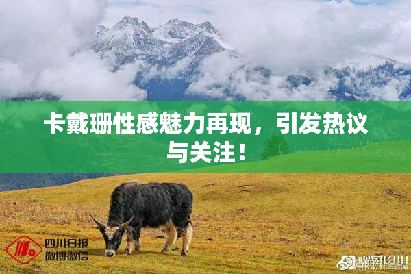 卡戴珊性感魅力再现，引发热议与关注！