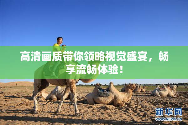 高清画质带你领略视觉盛宴，畅享流畅体验！