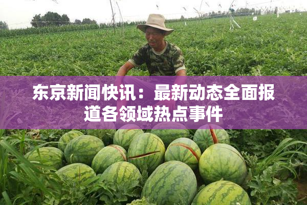 东京新闻快讯：最新动态全面报道各领域热点事件