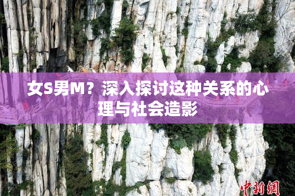 女S男M？深入探讨这种关系的心理与社会造影