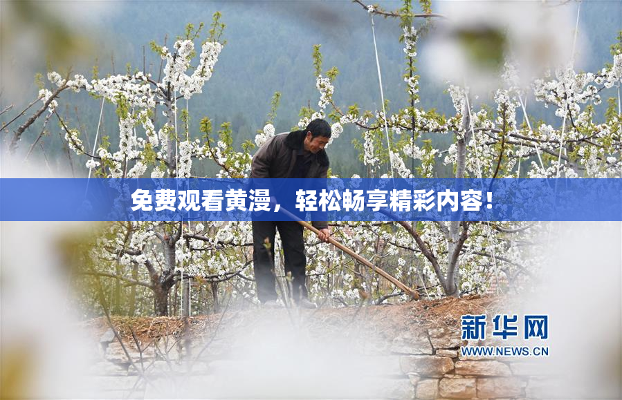 免费观看黄漫，轻松畅享精彩内容！