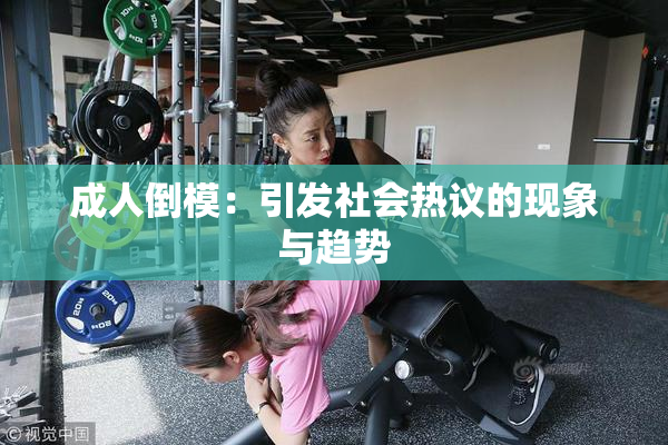 成人倒模：引发社会热议的现象与趋势