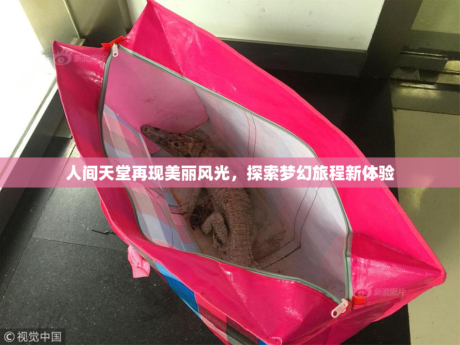 人间天堂再现美丽风光，探索梦幻旅程新体验
