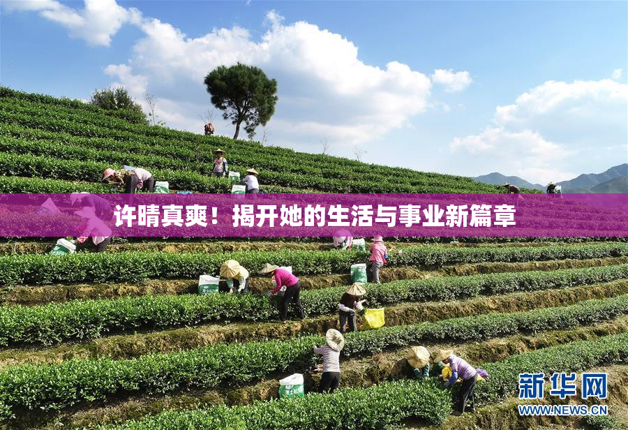 许晴真爽！揭开她的生活与事业新篇章