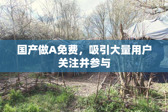 国产做A免费，吸引大量用户关注并参与
