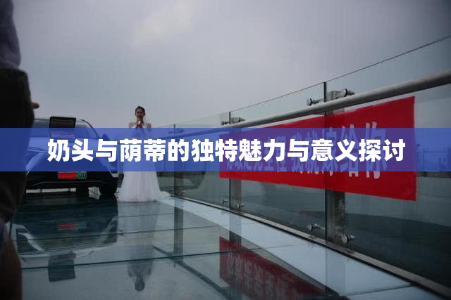 奶头与荫蒂的独特魅力与意义探讨