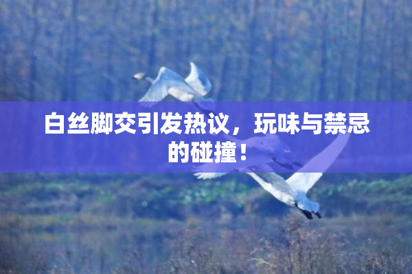 白丝脚交引发热议，玩味与禁忌的碰撞！