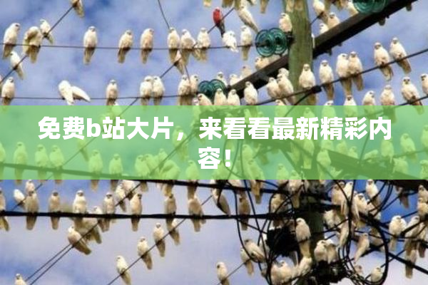 免费b站大片，来看看最新精彩内容！