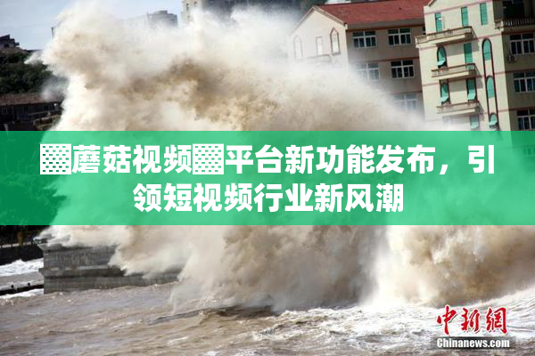 ▓蘑菇视频▓平台新功能发布，引领短视频行业新风潮