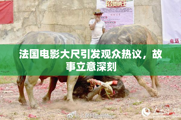 法国电影大尺引发观众热议，故事立意深刻